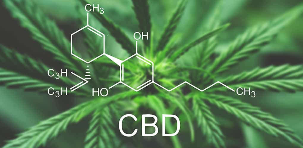 blog rozdiel medzi cbd a cbg