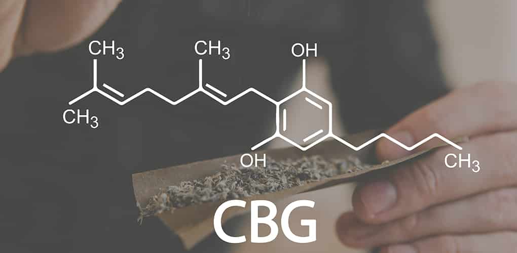 blog rozdiel medzi cbd a cbg