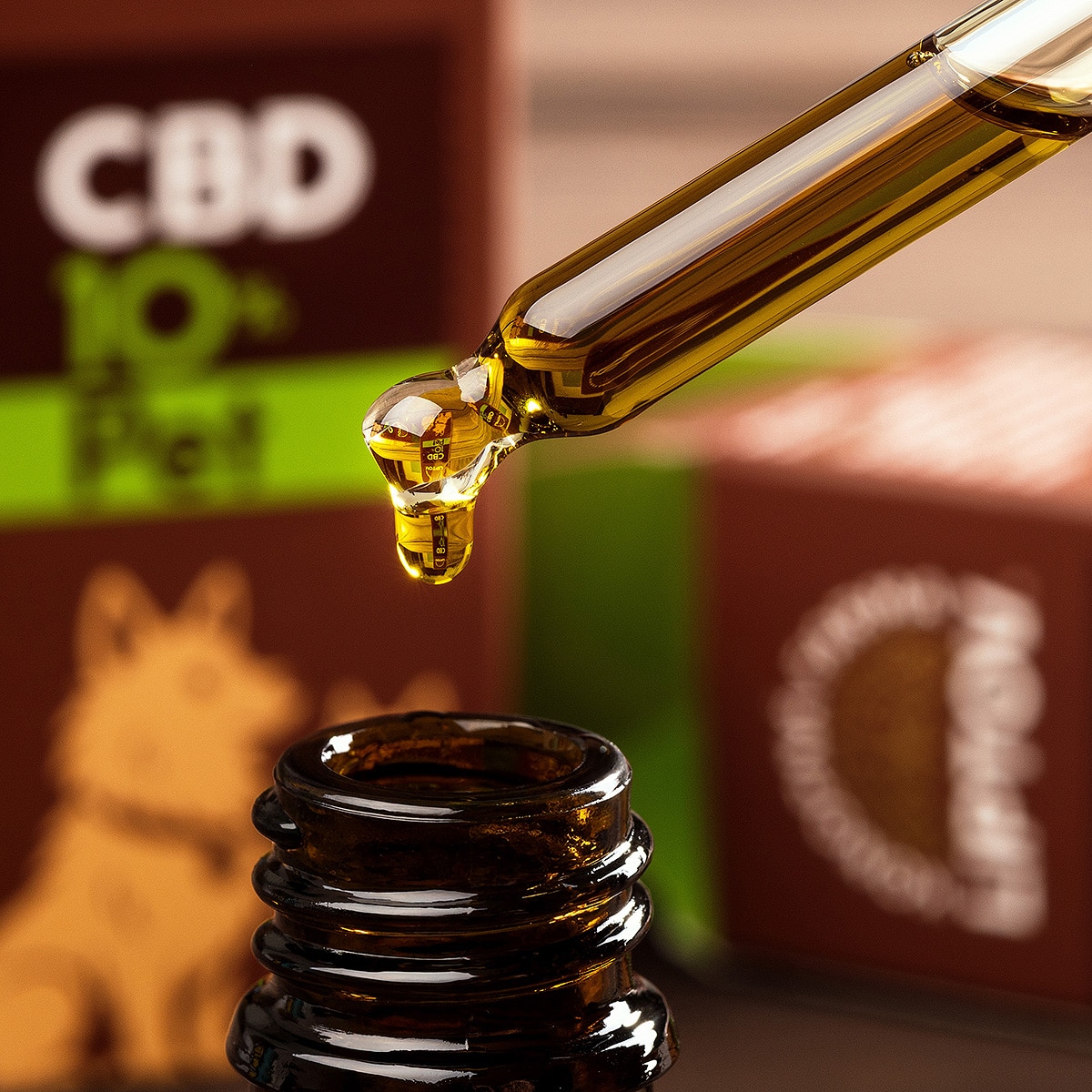 kfl-produkt-cbd-10-pet-2