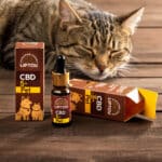 kfl-produkt-cbd-5-pet-1